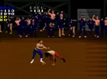 Screenshot of Pit-Fighter (USA)