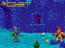 Screenshot of Stone Protectors (USA)