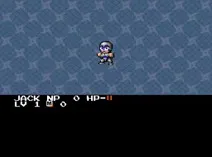Screenshot of Super Ninja Boy (USA)