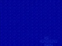 Screenshot of Uncharted Waters (USA)