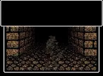 Screenshot of Wizardry V - Heart of the Maelstrom (USA)
